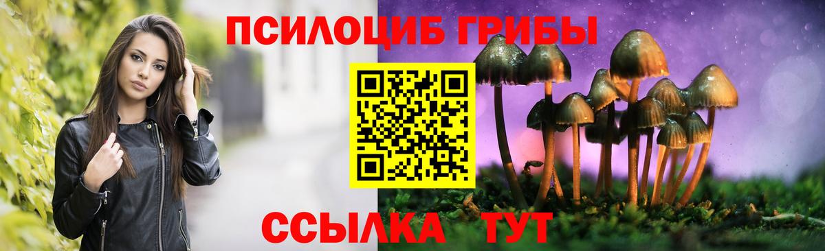 Псилоцибиновые грибы ЛСД Касимов